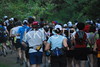hongfed > Start photo