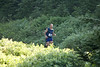hongfed > Hollyburn photo