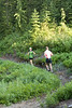 hongfed > Hollyburn photo