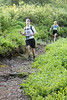 hongfed > Hollyburn photo