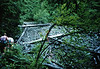 hongfed > First Annual - June 24, 1989 photo