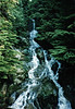 hongfed > First Annual - June 24, 1989 photo