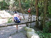 hongfed > Seymour River - Enzo Federico photo