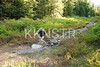 hongfed > Hollyburn - Andrew Koenen photo
