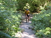 hongfed > Lynn Creek photo