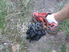 hongfed > Trail Marking - July 4, 2006 photo