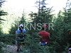 hongfed > Trail Marking - July 4, 2006 photo