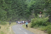 hongfed > Start #2 photo