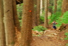 hongfed > Hollyburn #1 photo