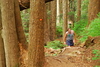 hongfed > Hollyburn #1 photo