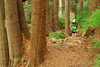 hongfed > Hollyburn #1 photo