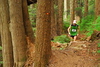 hongfed > Hollyburn #1 photo